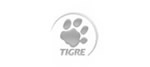 Tigre